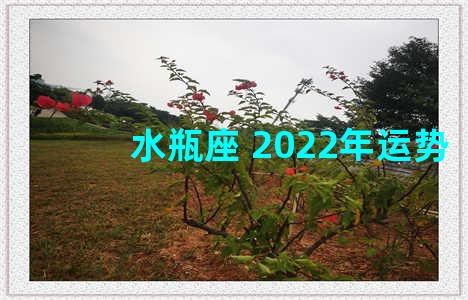 水瓶座 2022年运势